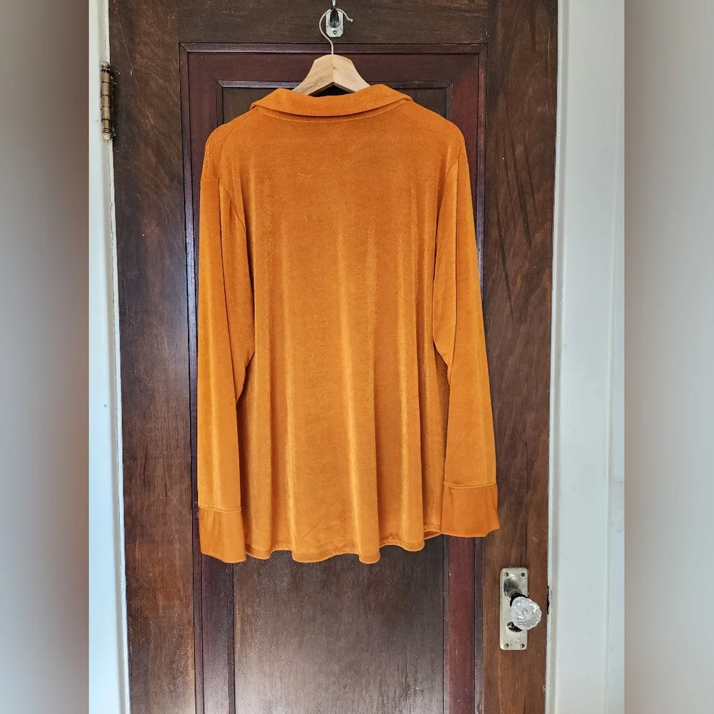Cato Rive Gauche Pumpkin Spice Top Plus 22/24W Boho Y2K Button Front Fall Blouse - Picture 2 of 6